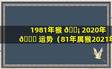 1981年猴 🐡 2020年 🍁 运势（81年属猴2021年运势及运程每月运程）